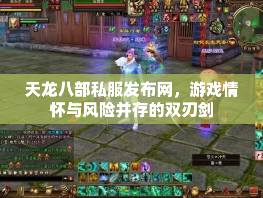 天龙八部私服发布网，游戏情怀与风险并存的双刃剑
