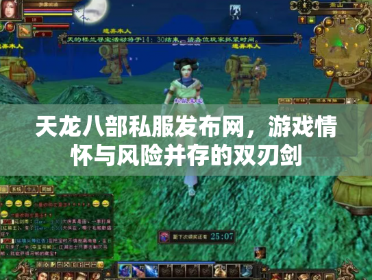 天龙八部私服发布网，游戏情怀与风险并存的双刃剑