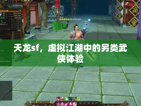 天龙sf，虚拟江湖中的另类武侠体验