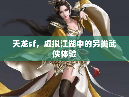 天龙sf，虚拟江湖中的另类武侠体验