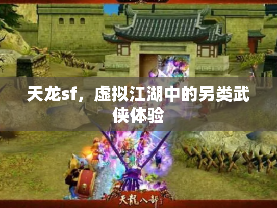 天龙sf，虚拟江湖中的另类武侠体验