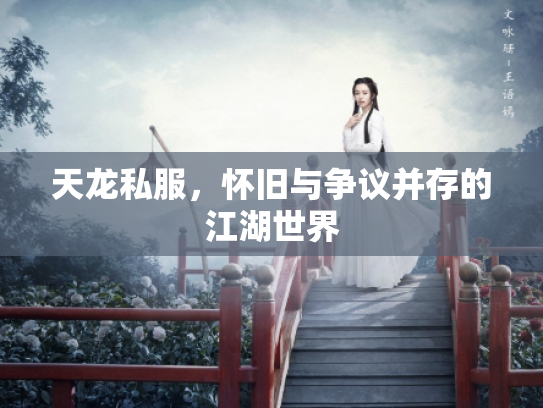 天龙私服，怀旧与争议并存的江湖世界