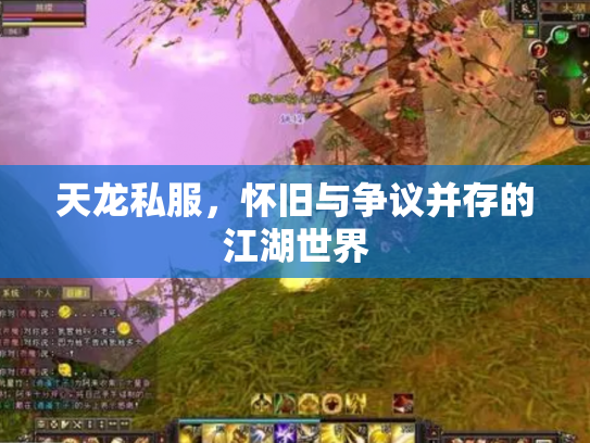 天龙私服，怀旧与争议并存的江湖世界