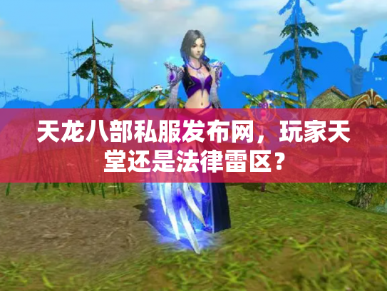 天龙八部私服发布网，玩家天堂还是法律雷区？