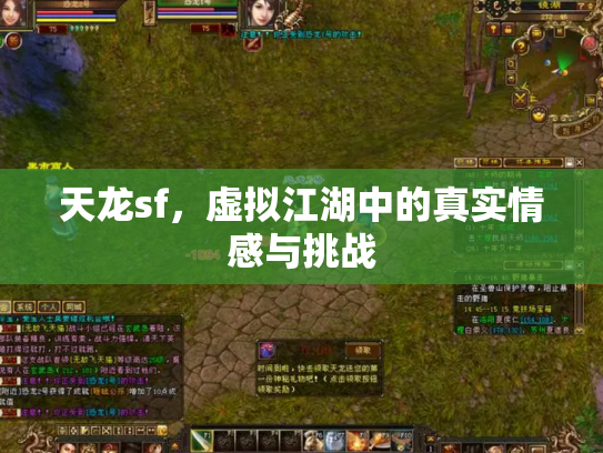 天龙sf，虚拟江湖中的真实情感与挑战