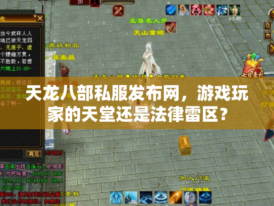天龙八部私服发布网，游戏玩家的天堂还是法律雷区？