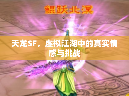 天龙SF，虚拟江湖中的真实情感与挑战