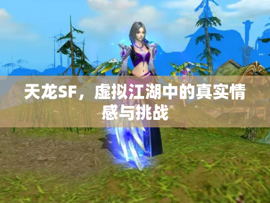 天龙SF，虚拟江湖中的真实情感与挑战