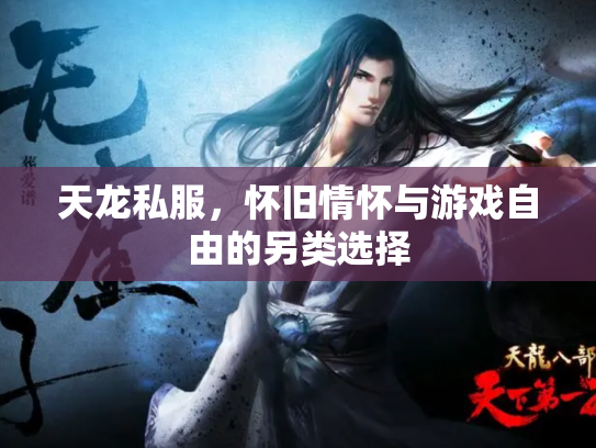 天龙私服，怀旧情怀与游戏自由的另类选择
