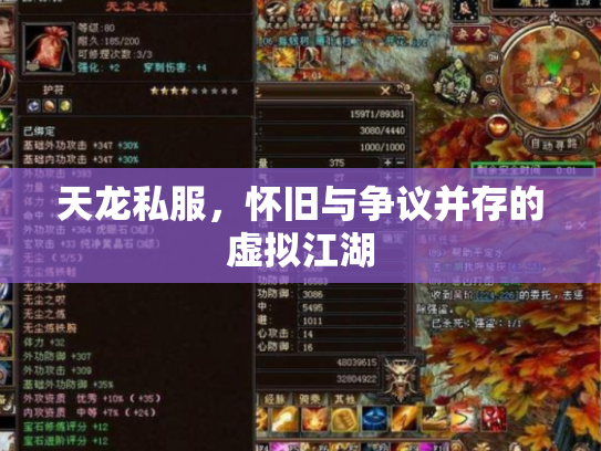 天龙私服，怀旧与争议并存的虚拟江湖