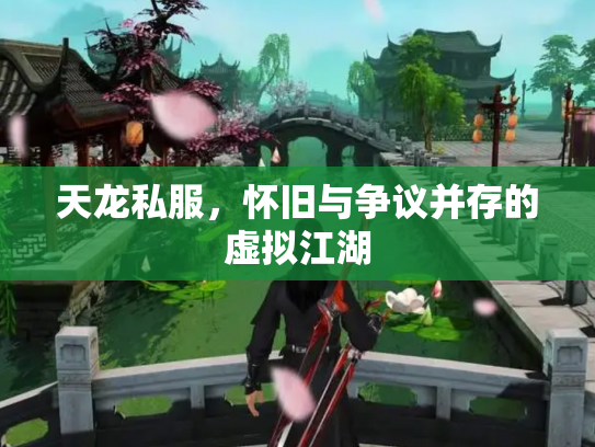 天龙私服，怀旧与争议并存的虚拟江湖