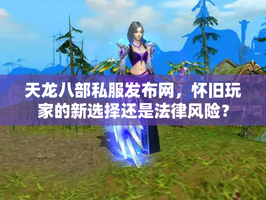 天龙八部私服发布网，怀旧玩家的新选择还是法律风险？