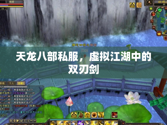 天龙八部私服，虚拟江湖中的双刃剑