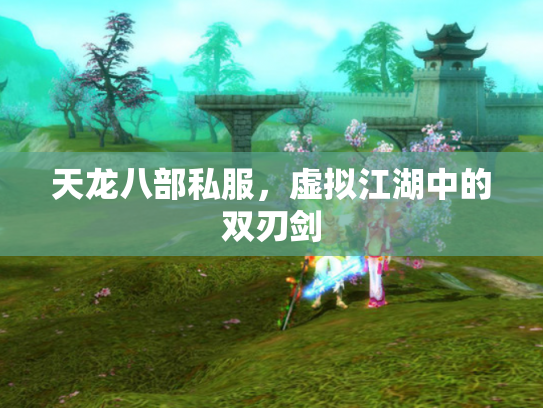 天龙八部私服，虚拟江湖中的双刃剑