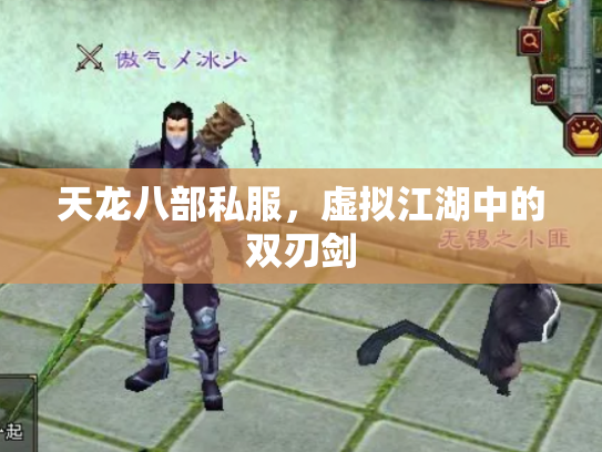 天龙八部私服，虚拟江湖中的双刃剑