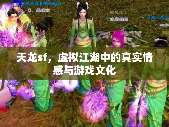 天龙sf，虚拟江湖中的真实情感与游戏文化