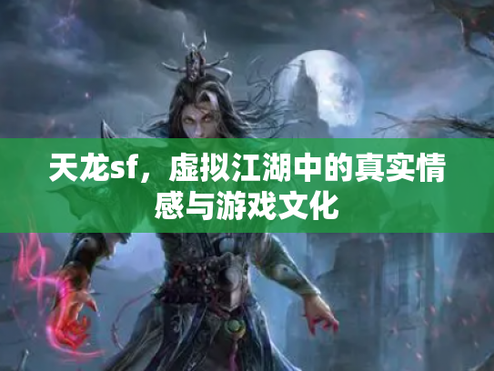 天龙sf，虚拟江湖中的真实情感与游戏文化