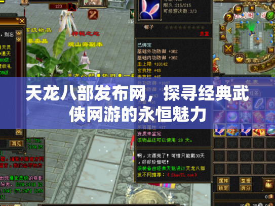 天龙八部发布网，探寻经典武侠网游的永恒魅力