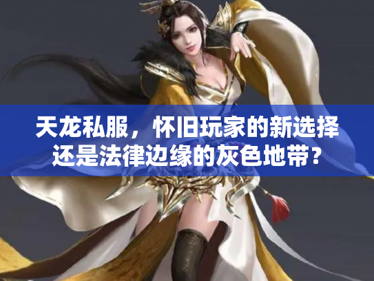 天龙私服，怀旧玩家的新选择还是法律边缘的灰色地带？