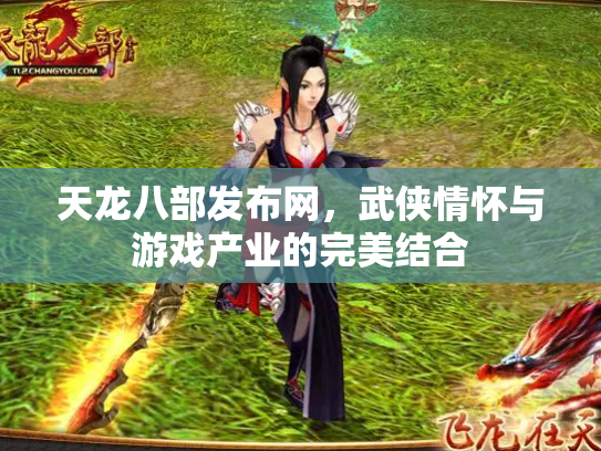 天龙八部发布网，武侠情怀与游戏产业的完美结合