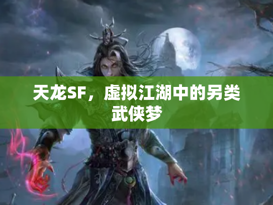天龙SF，虚拟江湖中的另类武侠梦