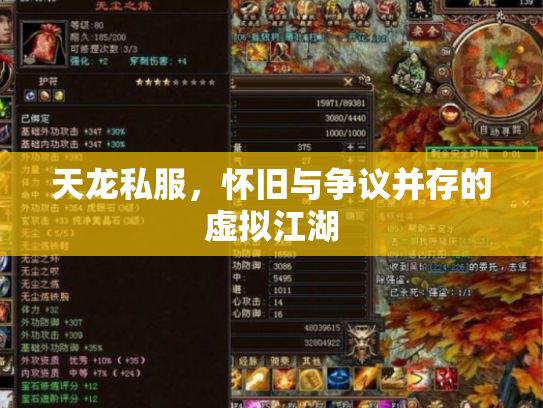天龙私服，怀旧与争议并存的虚拟江湖
