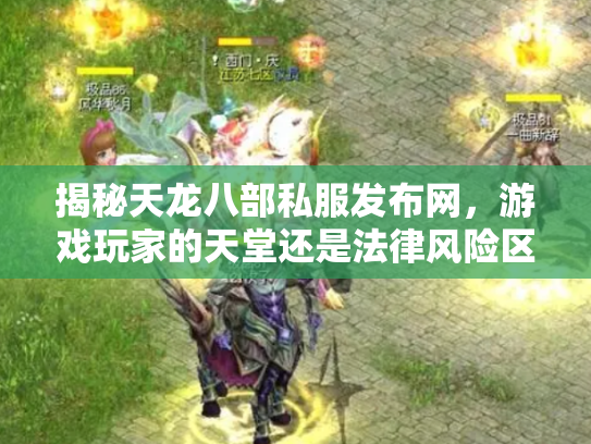 揭秘天龙八部私服发布网，游戏玩家的天堂还是法律风险区？