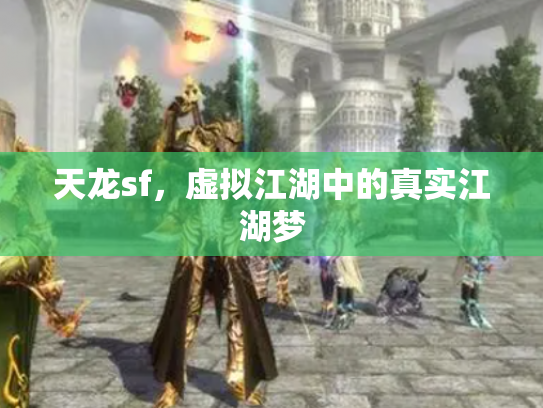 天龙sf，虚拟江湖中的真实江湖梦