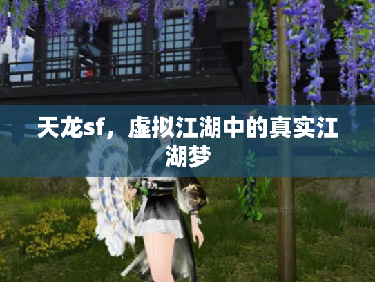 天龙sf，虚拟江湖中的真实江湖梦