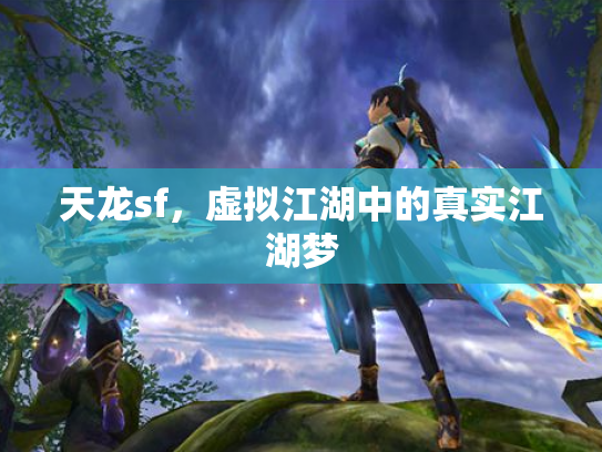 天龙sf，虚拟江湖中的真实江湖梦
