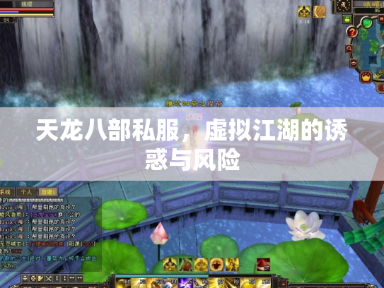 天龙八部私服，虚拟江湖的诱惑与风险