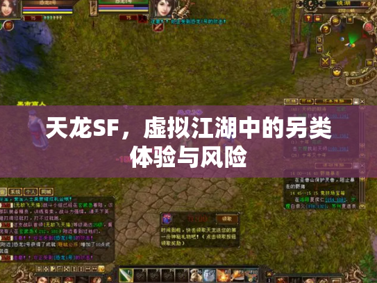天龙SF，虚拟江湖中的另类体验与风险