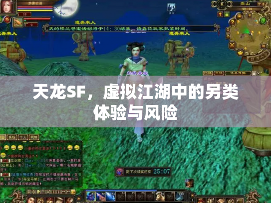 天龙SF，虚拟江湖中的另类体验与风险