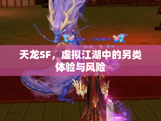 天龙SF，虚拟江湖中的另类体验与风险