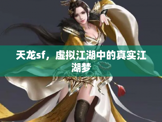 天龙sf，虚拟江湖中的真实江湖梦