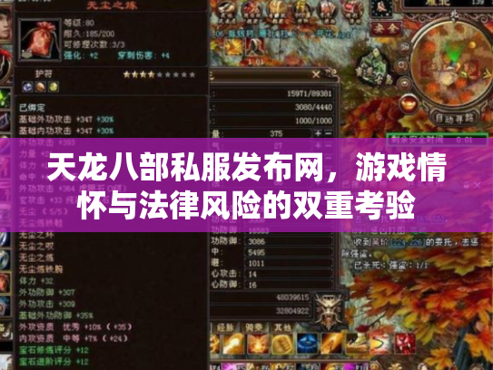 天龙八部私服发布网，游戏情怀与法律风险的双重考验