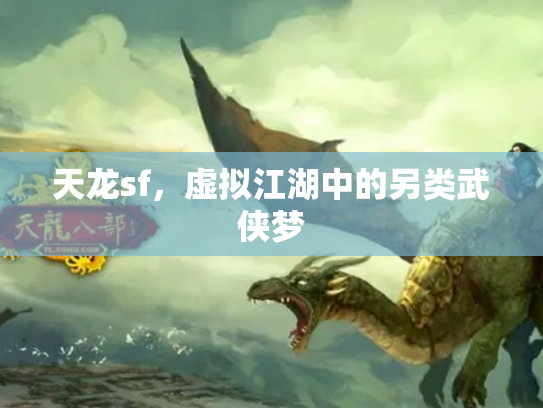 天龙sf，虚拟江湖中的另类武侠梦
