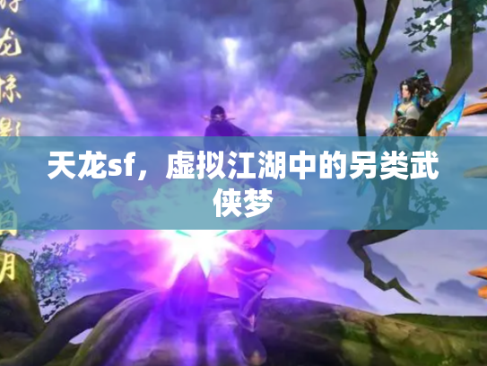 天龙sf，虚拟江湖中的另类武侠梦