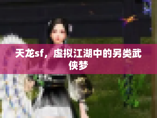 天龙sf，虚拟江湖中的另类武侠梦