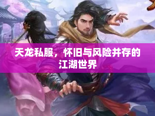 天龙私服，怀旧与风险并存的江湖世界