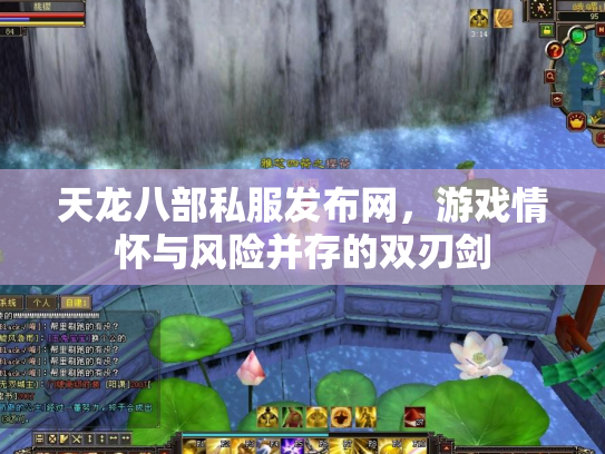 天龙八部私服发布网，游戏情怀与风险并存的双刃剑