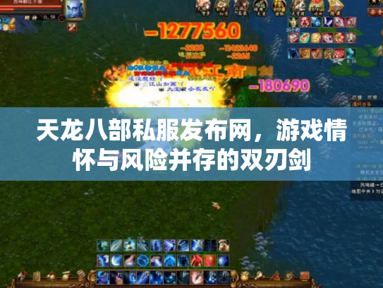 天龙八部私服发布网，游戏情怀与风险并存的双刃剑