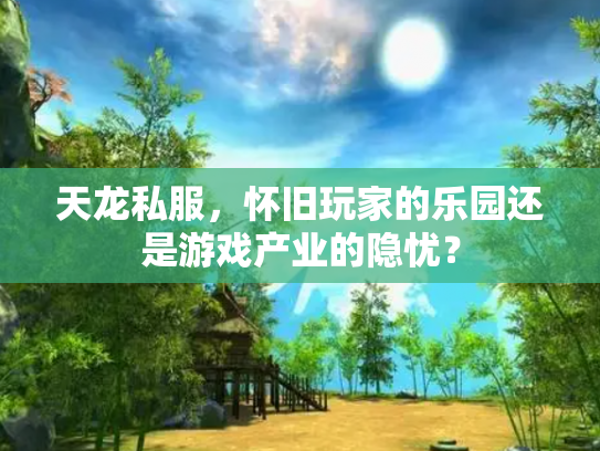 天龙私服，怀旧玩家的乐园还是游戏产业的隐忧？
