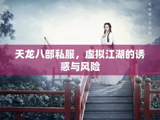 天龙八部私服，虚拟江湖的诱惑与风险