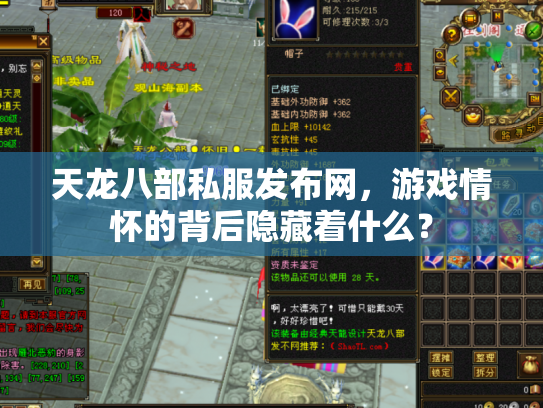 天龙八部私服发布网，游戏情怀的背后隐藏着什么？