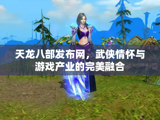 天龙八部发布网，武侠情怀与游戏产业的完美融合