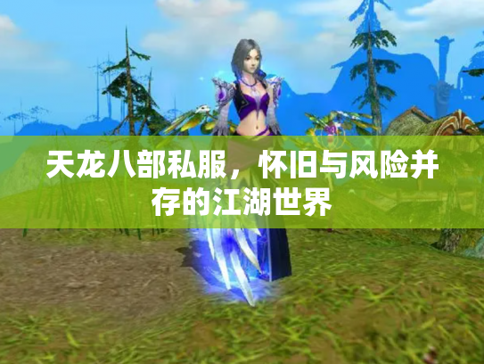 天龙八部私服，怀旧与风险并存的江湖世界