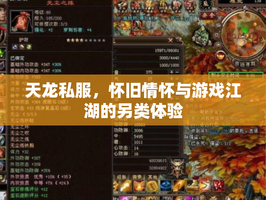 天龙私服，怀旧情怀与游戏江湖的另类体验