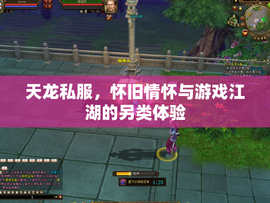 天龙私服，怀旧情怀与游戏江湖的另类体验