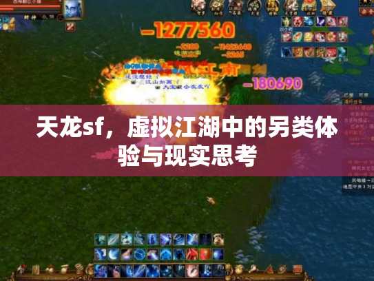 天龙sf，虚拟江湖中的另类体验与现实思考